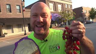 Italian Fest 2019 - Grape Stomp Promo