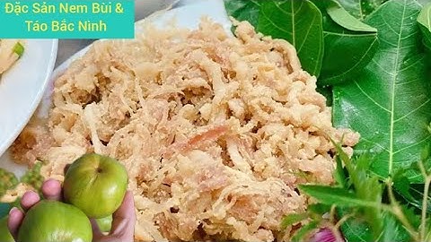 GHÉ VƯỜN TÁO RÌA ĐƯỜNG THUẬN THÀNH BẮC NINH VÀ ĐẶC SẢN NEM BÙI I NÚI ĐỒI LỤC NGẠN