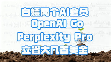 【两限时免费AI】错过血亏 一年免费！一口气拿下两大AI会员(OpenAI Go, Perplexity Pro) 立省百刀 | Free AI For A Year! Get Both Plans🚀