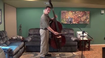 Double Bass Lesson - Standing pt. 3 - Using the Left Hand