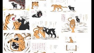Тигр Амур и козел Тимур 21 января 2016 Трансляция веб-камер для слепых людей Тигр Амур и козел Тимур 21 января 2016 Трансляция веб-камер для слепых людей