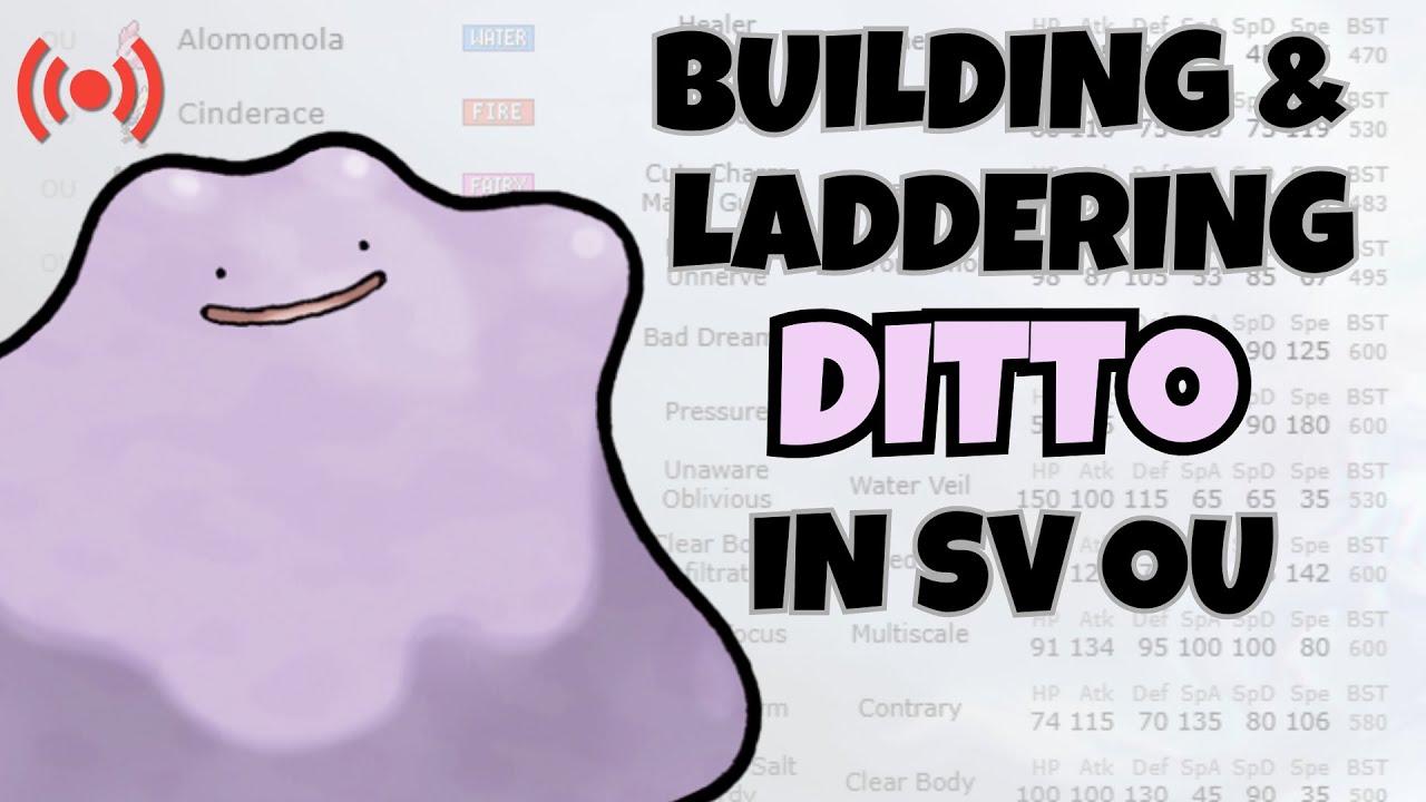 Ditto Beats the Fraud Allegations!