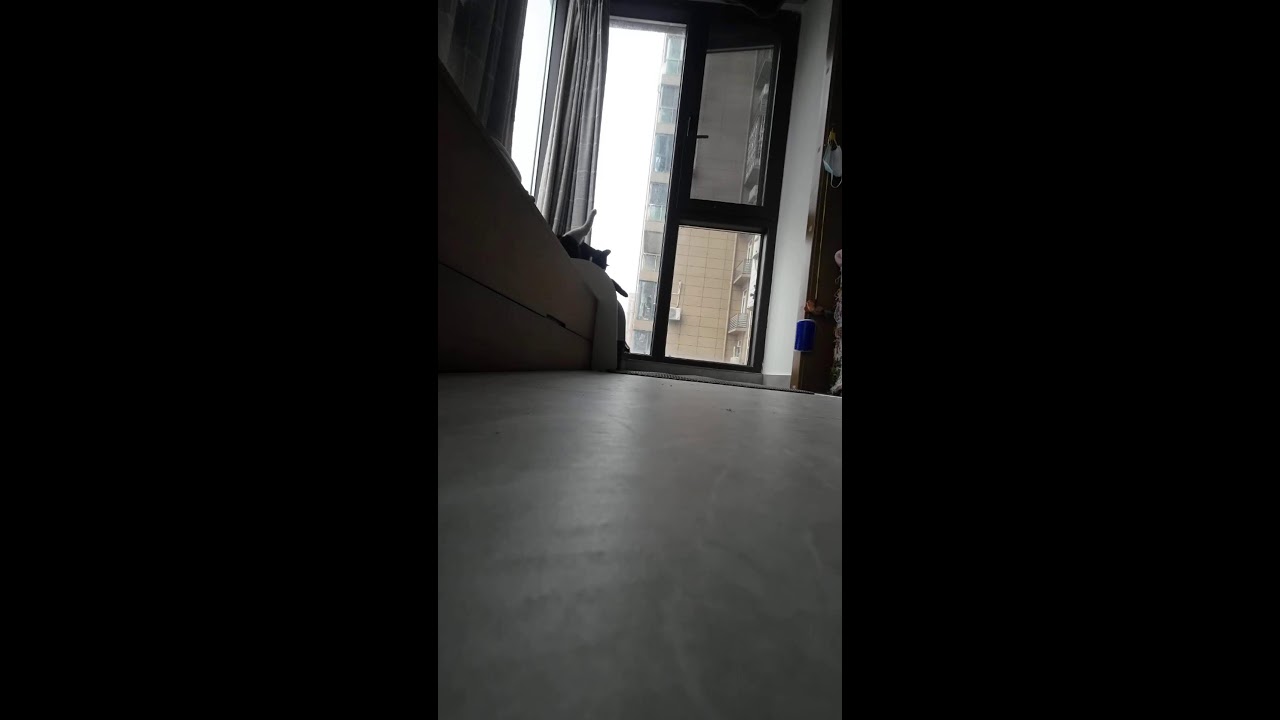 POV: A Cat’s Daily Life 🐾 2026-01-25 