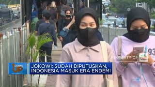 Jokowi Sudah Diputuskan,Indonesia Masuk Era Endemi