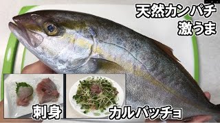 カンパチを捌いて　刺身　カルパッチョ　作ってみた!!