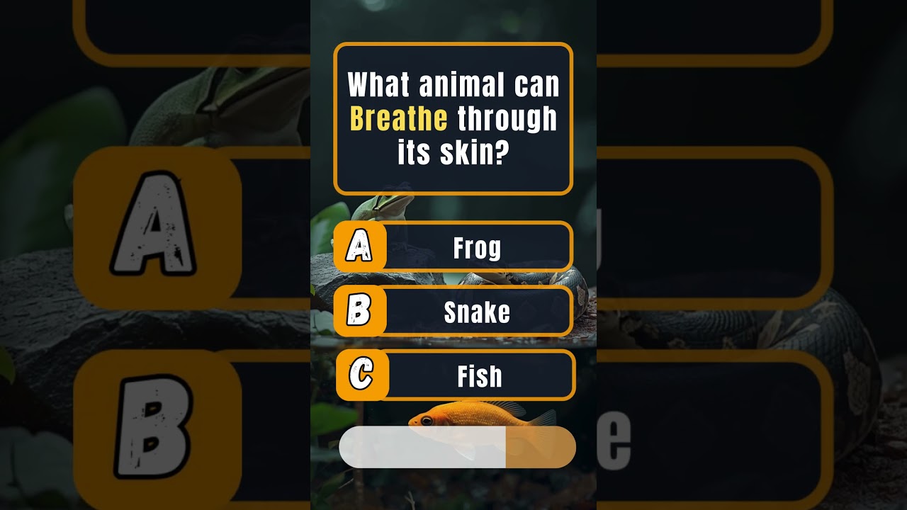 Какое животное дышит через кожу? 🤯 | Викторина по общим знаниям 