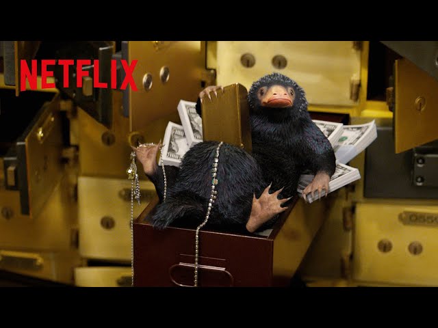表情が愛おしすぎる魔法動物5選 | ファンタスティック・ビースト