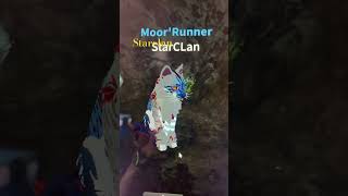Starclan vs Darkforest who my oc’s would fight for (just a couple of them maybe I’ll do part 2)
