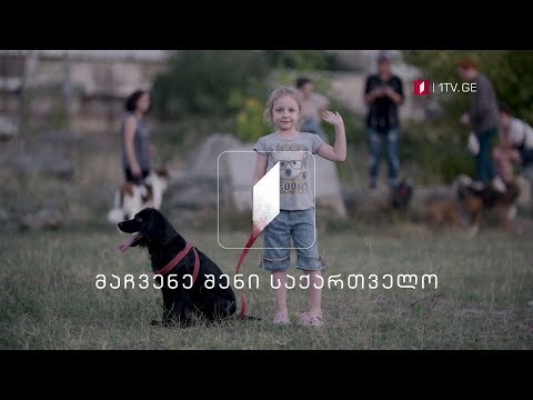 „მოქალაქე რეპორტიორი“ - მაჩვენე შენი საქართველო