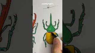 ASMR Drawing Insect Coloring Anyone know the name of this insect