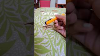 If you can't do pen spinning then do this #penspinning #shorts