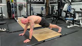 Push Up Plank 3 Points Of Contact