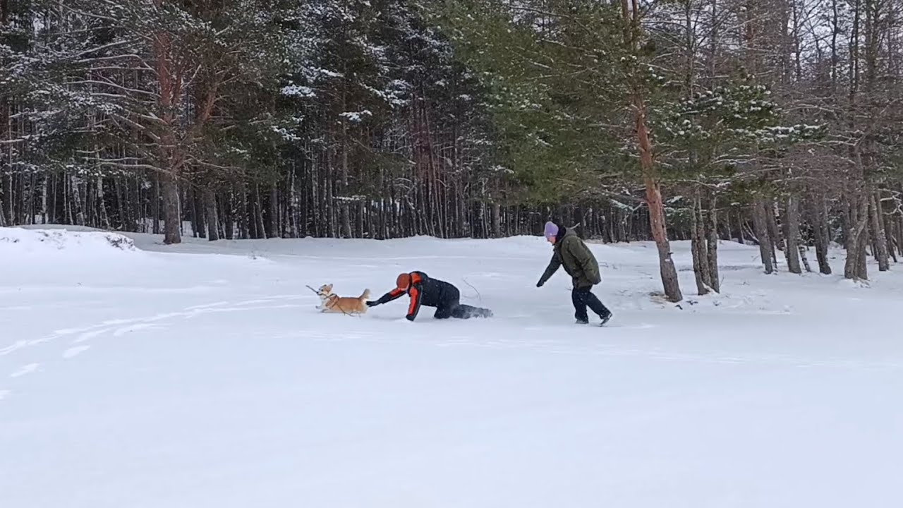 No one can catch Sid