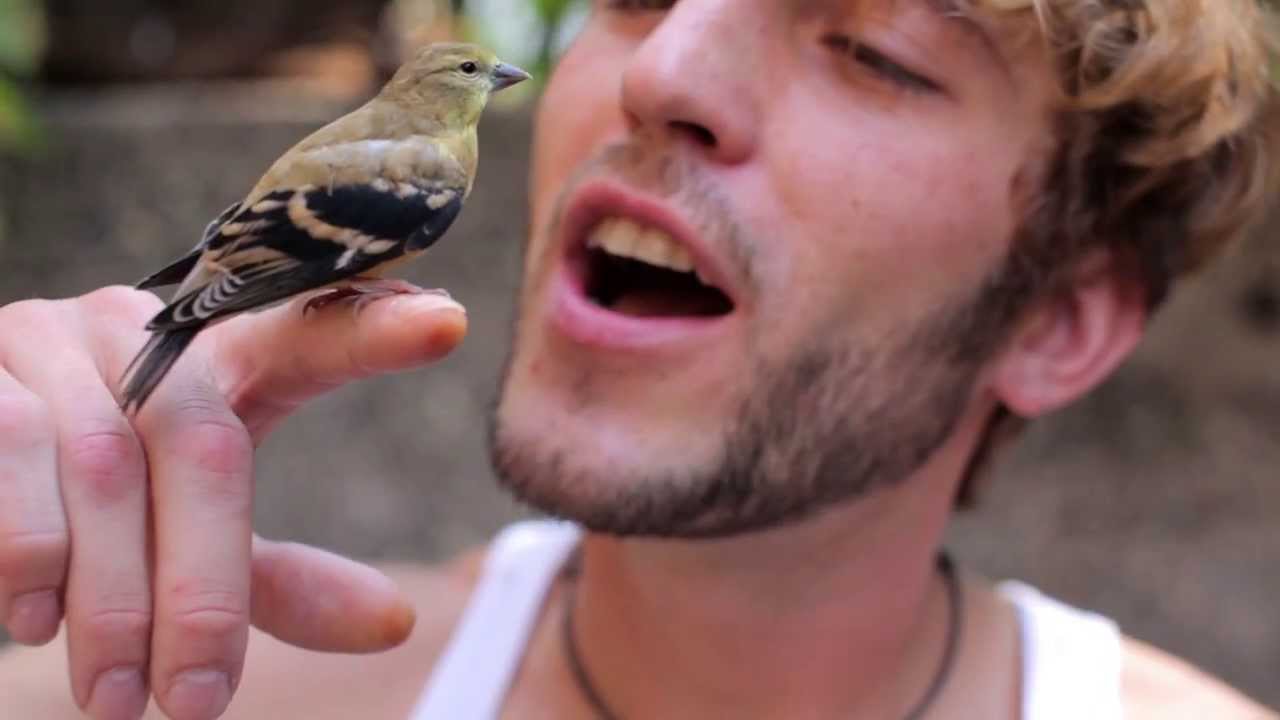 Kristoff Krane - Escape (Feat. Ms. Lady Finch) [Official Video HD]