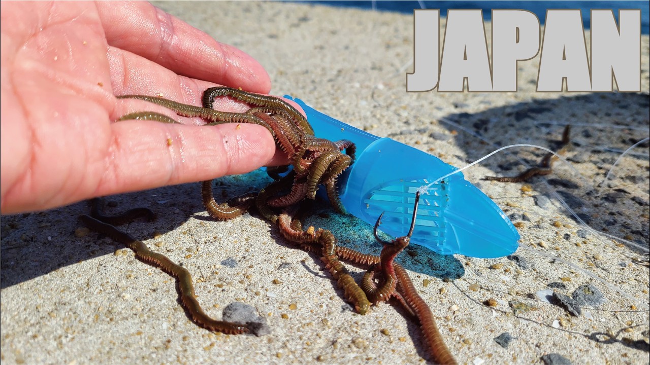 カゴに大量の虫を入れ海に投げ込んだ結果が恐ろしくて無言