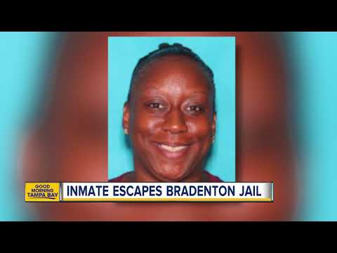 Manatee Sheriffs Office Arrest Inquiryclassified