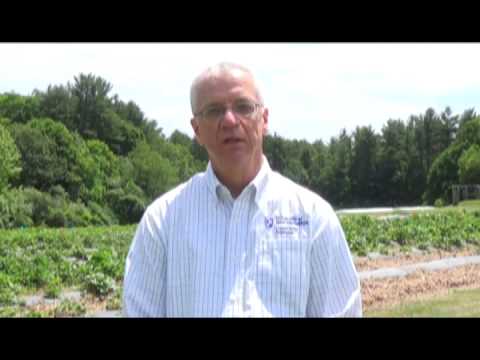 Indirect Costs Video