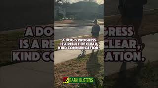 Clear and kind communication is key to your dog’s progress. 🐾🐕