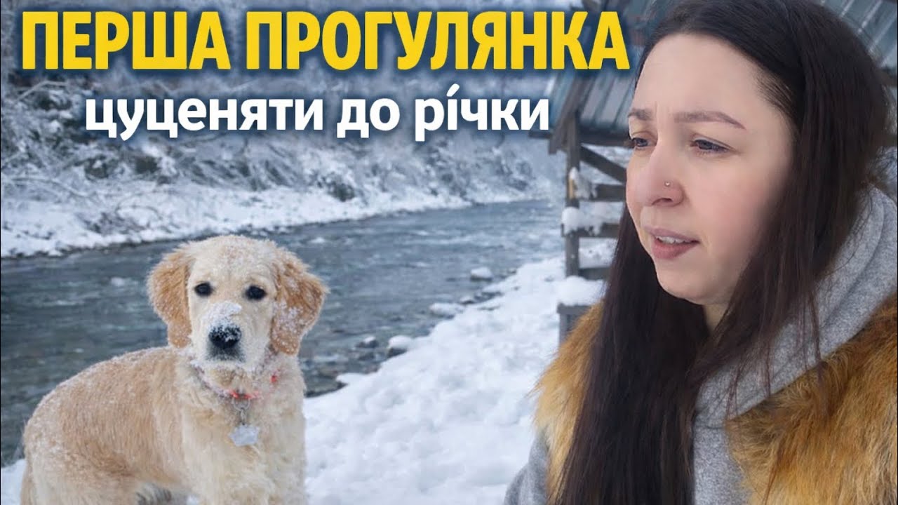 Чим я обробляю цуценя від кліщів? Перша прогулянка з цуценям до річки 