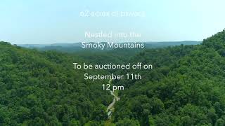 ABSOLUTE REAL ESTATE AUCTION