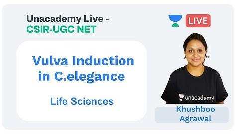 Vulva Induction in C.elegance | Life Sciences | Unacademy Live - CSIR UGC NET |
 Khushboo Agrawal