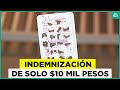 $10 mil pesos: La indemnización para mujeres afectadas por fallas en anticonceptivos