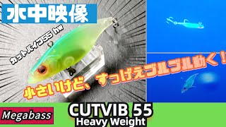 【水中映像】カットバイブ５５hwは小さいけど、強波動！強アピール！ブリブリ動いてシーバスのバイトを誘う！【メガバス】【シーバスルアーラボ】