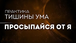 Практика Тишины Ума: После опыта Пробуждения 🌌 Сознание в Присутствии Сейчас