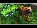 Wild Animals of the Jungle!! Tigers, Anacondas, Pandas, and More!! • Ultimate Jungle Simulator!