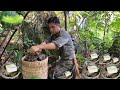 Go to the jungle to set mouse traps and build shelters to survive alone in the jungle