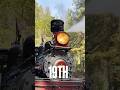 Roaring Camp Forest Steam Train