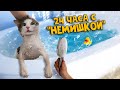 24 часа с котом из прошлого выпуска / SANI vlog