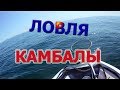 Ловля камбалы во Владивостоке. Рыбалка на море приморский край 2019