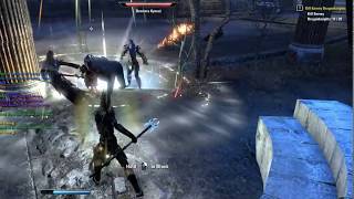 Elder Scrolls Online: the Imperial City Exp Bug