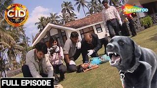 Unleashing Justice Cid Team On The Hunt For The Mysterious Killer Dog Cid सआईड