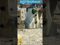 Satisfying Concrete Mold Removal Process.