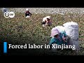 Xinjiang: New reports on detention and forced labor of China's ethnic minorities | DW News