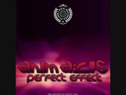 Regardez Animalis - Perfect Effect sur YouTube Regardez Animalis - Perfect Effect sur YouTube