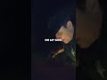 2 men exchanging something small on a dark street. Turns into a bust. #police #arrest #floridacrime