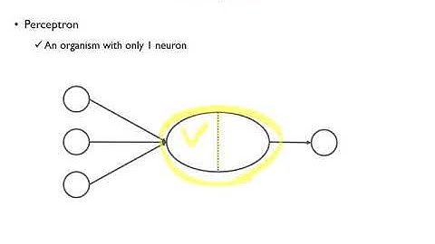 06-1: Artificial Neural Networks - Perceptron
