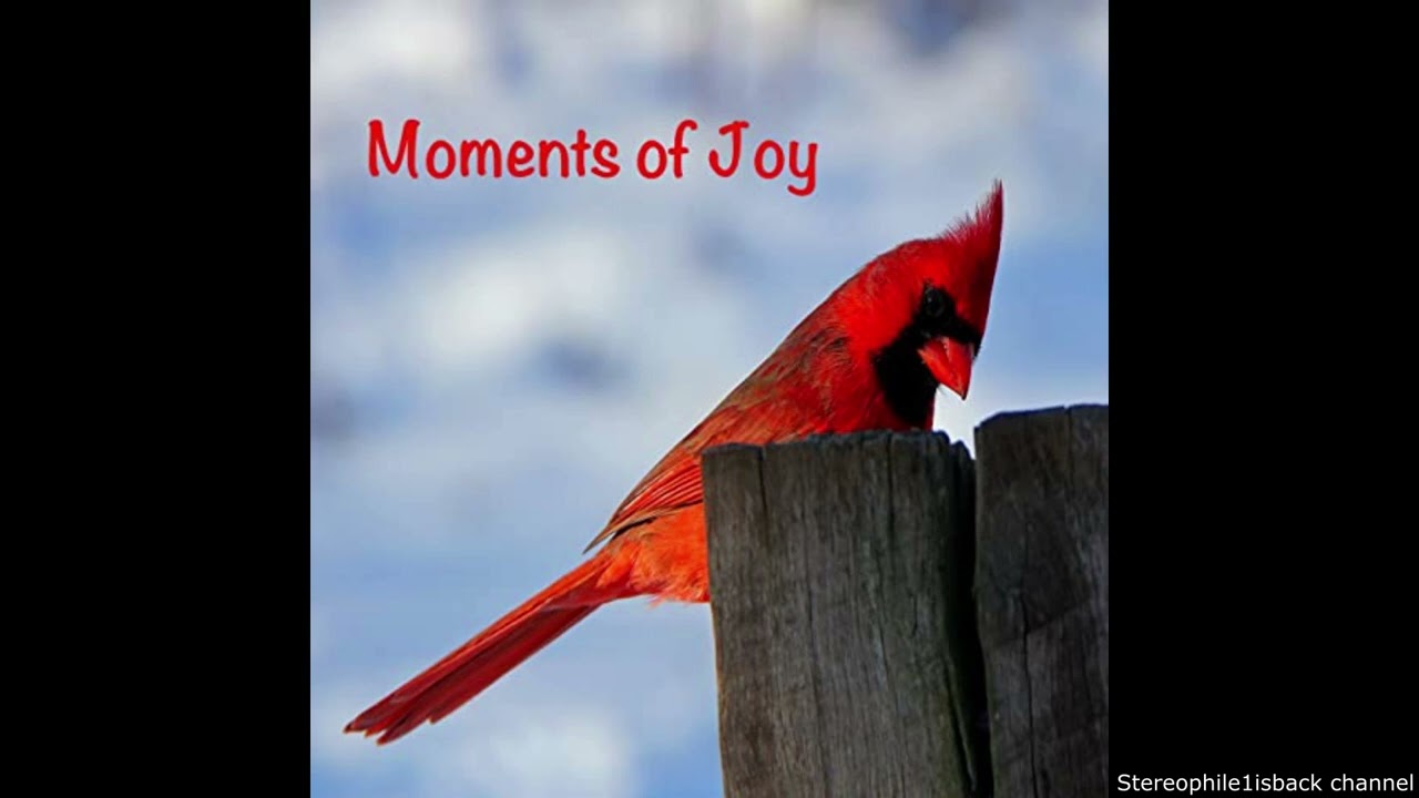 Rick Krive - Lucky Road