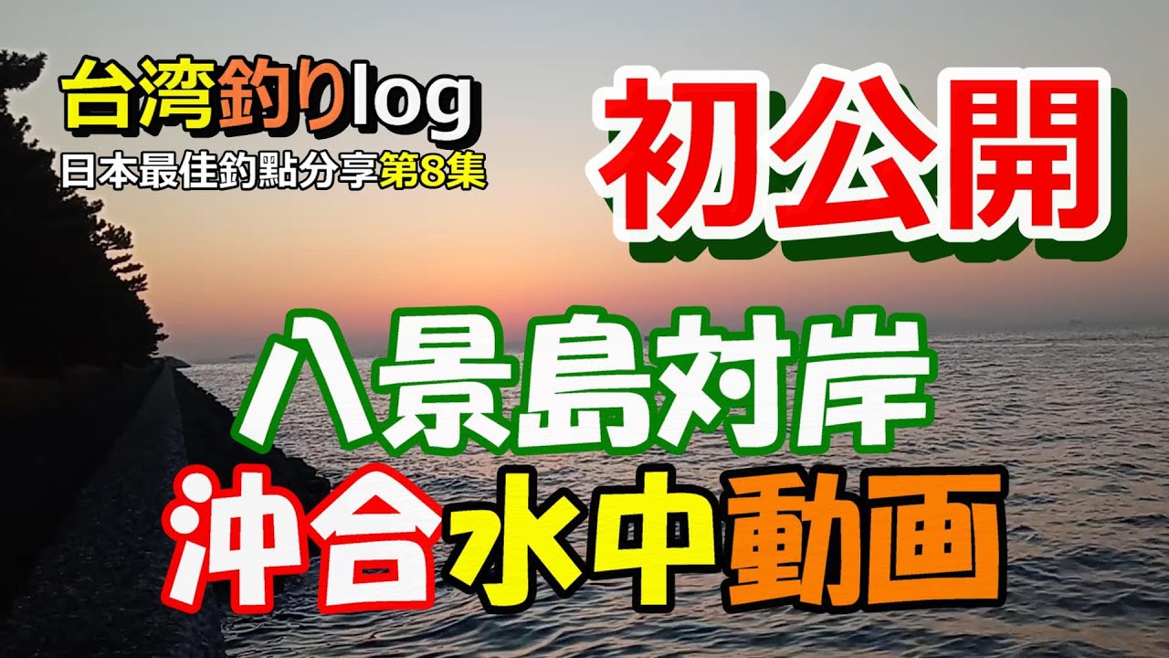 【YT初公開？！】横浜市南部八景島対岸沖の水中動画。日本最佳釣點分享第八集。