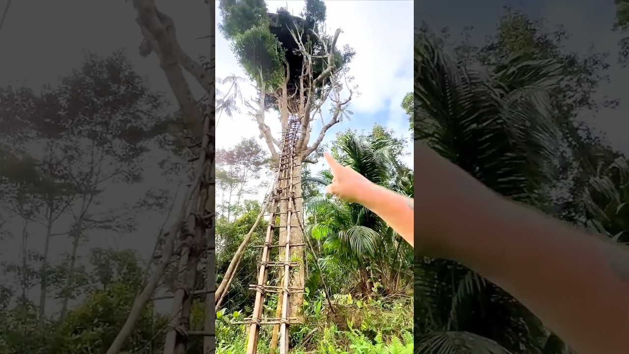 Treehouse Tribe of Indonesia!