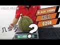 迷人的马来西亚黑刺榴莲D200里面到底有多少房和果肉有多重? | Malaysia Perak Black Thorn Durian D200