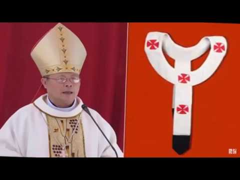 Video Đức TGM Giuse Nguyễn Chí Linh vinh dự được Đức Thánh... - youtube
