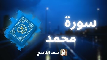 سورة محمد مكررة القارئ سعد الغامدي