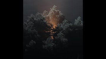 Cool Zone Forest Glow #Houdini #Redshift [Stream 2020 10 30]