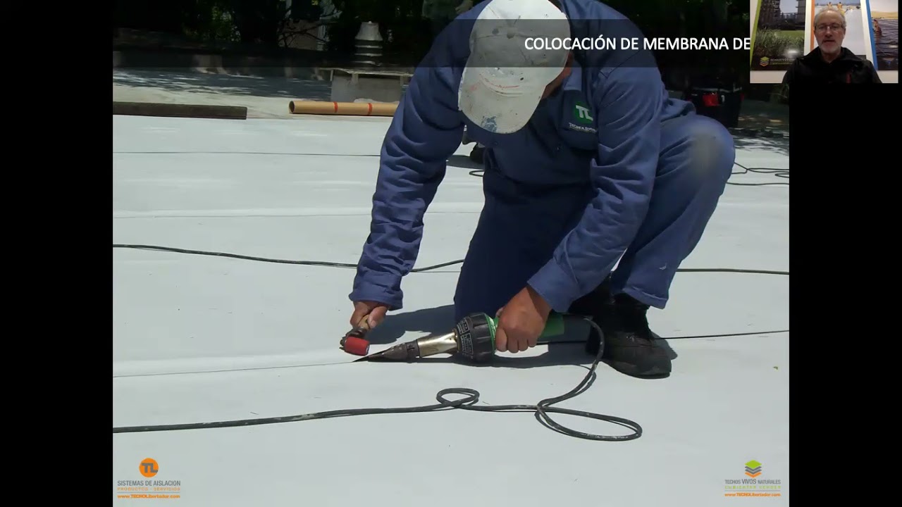 Techos verdes