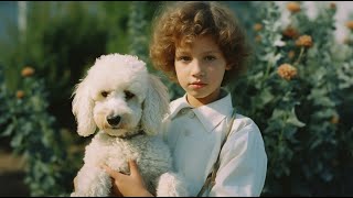 Are Poodles Good with Experienced Dog Owners? by Poodle USA 39 views 13 days ago 4 minutes, 39 seconds