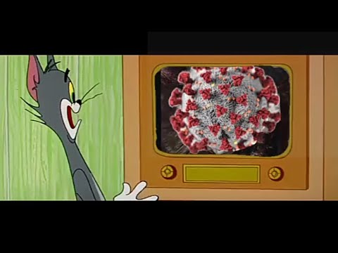 Tình hình covid hiện nay - tom and jerry chế